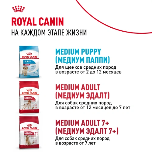 Сухой корм Royal Canin Medium Starter для щенков средних пород ,беременных и кормящих 4 кг