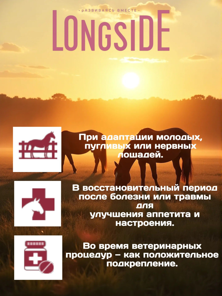 Лакомство для лошадей LONGSIDE, укрепляющее доверие. Садовое яблоко