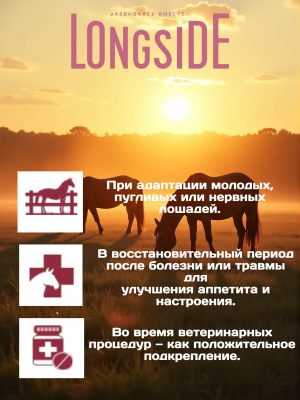Лакомство для лошадей LONGSIDE, укрепляющее доверие. Садовое яблоко