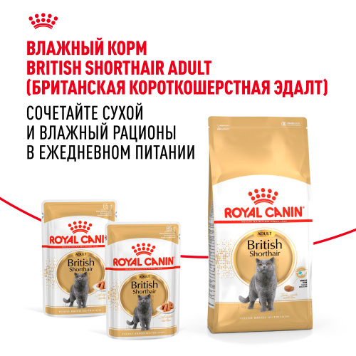 ROYAL CANIN British Shorthair Корм сухой для кошек породы Британская короткошерстная, 2 кг
