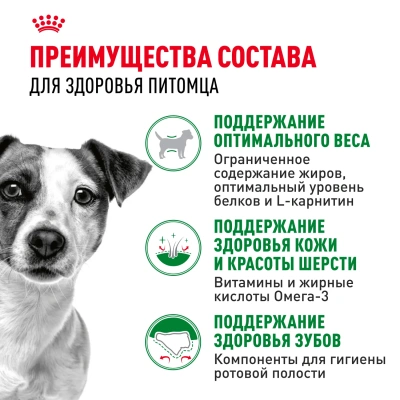 Сухой корм Royal Canin Mini Adult для взрослых собак малых пород 500+300 г.
