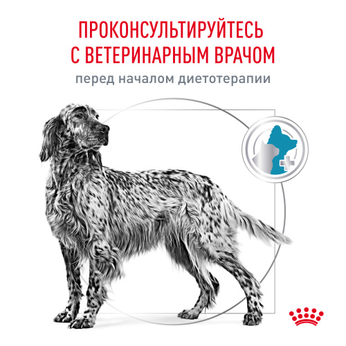 Сухой корм для собак Royal Canin Hypoallergenic, для ср. и кр. пород, при пищевой аллергии 2кг