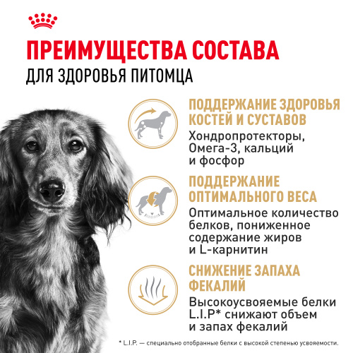 Сухой корм Royal Canin для взрослых собак породы Такса 1,5 кг