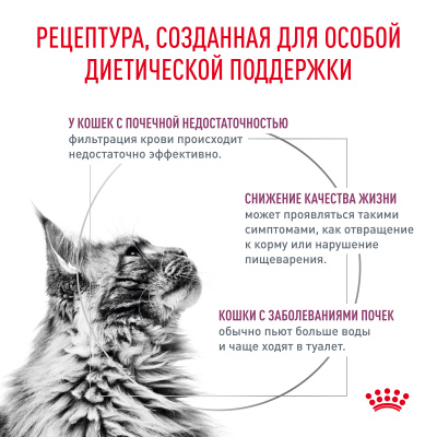 Влажный ветеринарный корм Royal Canin Renal для поддержания функций почек с курицей в соусе 85г