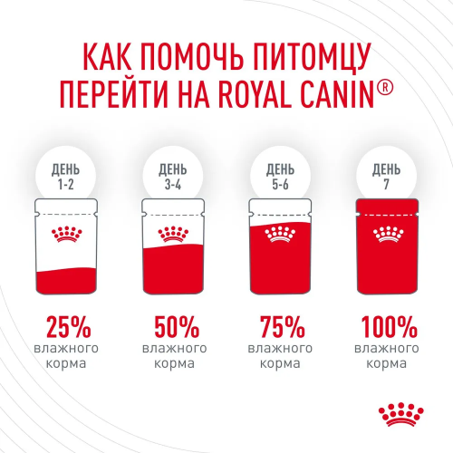 Влажный корм Royal Canin Hair and Skin для здоровья кожи и шерсти ломтики в желе 85 г