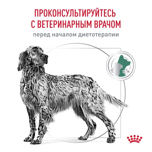 Сухой ветеринарный корм Royal Canin Satiety Weight Management для крупных собак,снижение веса,1,5 кг