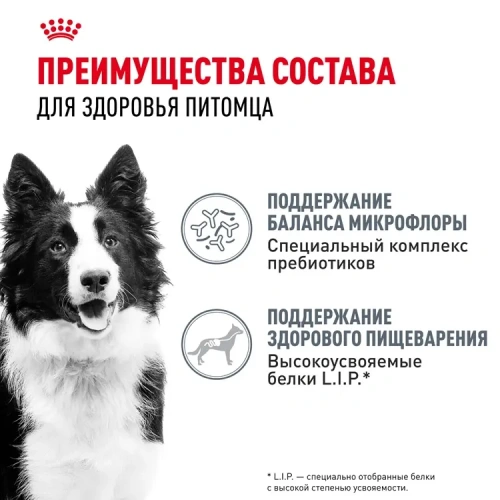 Сухой корм Royal Canin DIGESTIVE CARE для собак средних пород для поддержания пищеварит. системы 3кг