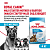 Сухой корм Royal Canin Maxi Starter для щенков крупных пород, беременных и кормящих 4 кг
