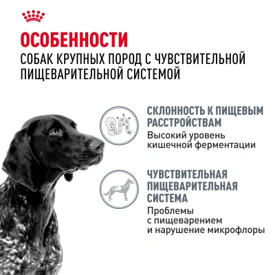 Сухой корм Royal Canin DIGESTIVE CARE для собак круп. пород для поддержания пищеварит. системы 3кг