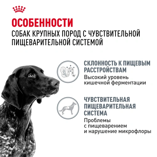 Сухой корм Royal Canin DIGESTIVE CARE для собак круп. пород для поддержания пищеварит. системы 3кг