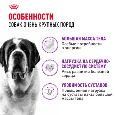 Royal Canin Giant Adult MGA-28 Сухой корм для собак гигантских пород, 15 кг