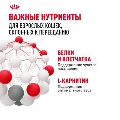 Влажный корм Royal Canin Appetite Control Care для кошек, контроль выпрашивания корма в соусе, 85гр