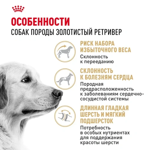 Сухой корм Royal Canin для взрослых собак породы Лабрадор ретривер 3 кг