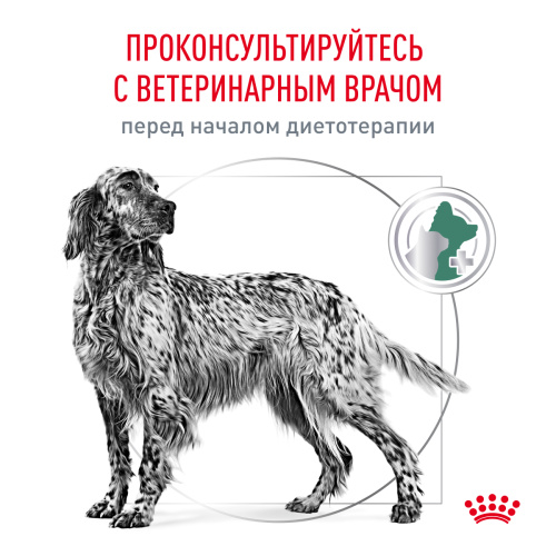 Сухой корм Royal Canin Diabetic для собак страдающих сахарным диабетом 1,5 кг