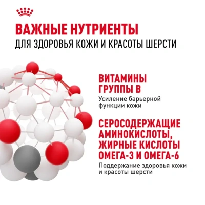 Сухой корм Royal Canin Hair & Skin Care для кошек, для поддержания здоровья кожи и шерсти, 400гр