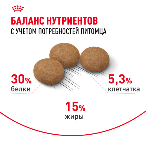 Royal Canin Ageing Sterilised 12+ Сухой корм для стерилизованных кошек старше 12 лет, 400 г