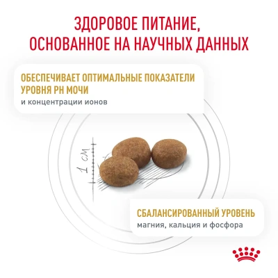 Royal Canin Urinary S/O Сухой корм для взрослых кошек, 350 г