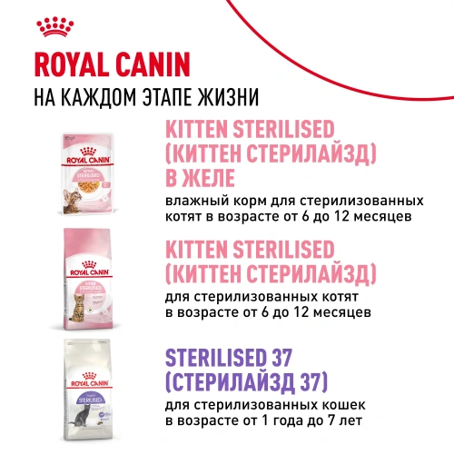 Royal Canin Консервированный корм для котят 4-12 месяцев, кусочки в соусе, 85 г