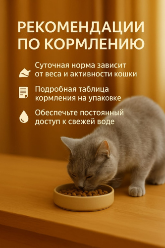 Сухой корм Delish Super Premium для кошек Куриная печень с рисом, 2кг