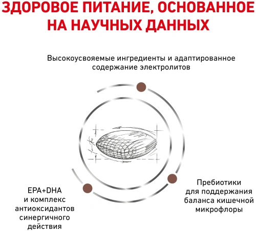 Сухой корм для кошек Royal Canin Gastrointestinal Hairball диетический корм для вывода шерсти  2 кг