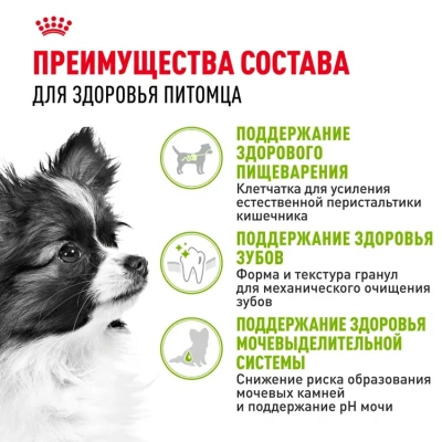 Royal Canin X-SMALL ADULT Сухой корм для взрослых собак мелких пород (до 4 кг), 500 г