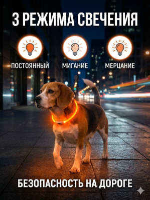 Светящийся ошейник FLASH LED, S, 1 x 35 см, оранжевый MPets