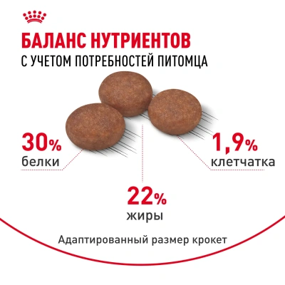 Royal Canin Digestive Care Mini Сухой корм для собак мелких пород с чувствительным пищеварением, 1 кг