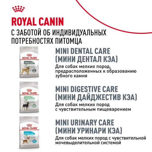 Royal Canin Mini Dermacomfort Сухой корм для собак, 1 кг