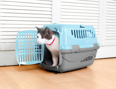 Переноска для животных "Турне" M с пласт.дверцей 48*32*32 см голубая