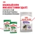 Сухой корм Royal Canin Mini Sterilised стерилизованных собак мелких пород - 3 кг