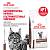 Сухой корм для кошек Royal Canin Gastrointestinal Hairball диетический корм для вывода шерсти 0,4 кг