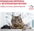 Сухой корм Royal Canin Renal для взрослых кошек с хронической почечной недостаточностью - 2 кг Сухой корм Royal Canin Renal для взрослых кошек с хронической почечной недостаточностью - 2 кг