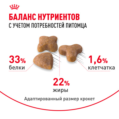 Сухой корм Royal Canin Sensible 33 для взрослых кошек с чувствительным пищеварением 2 кг