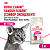Royal Canin Savour Exigent  Сухой корм для взрослых кошек привередливых к вкусу, 2 кг