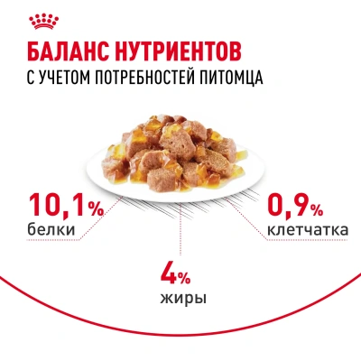 Royal Canin Intense Beauty, кусочки в желе, 85 г