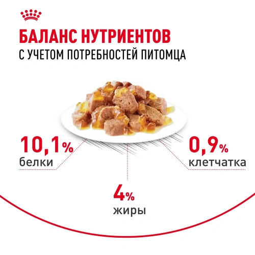Royal Canin Intense Beauty, кусочки в желе, 85 г