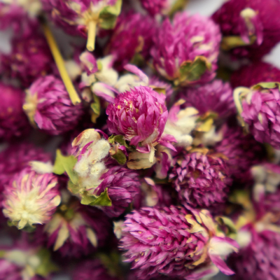 Лакомство Bambini Pets высушенные цветы клевера для грызунов и кроликов, 10 г. 