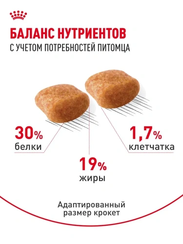 Сухой корм для собак породы пудель Royal Canin 1,5 кг