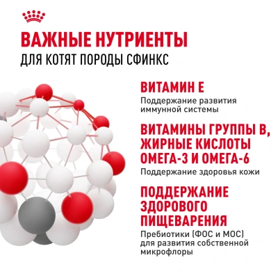 Royal Canin Sphynx Kitten Сухой корм для котят породы Сфинкс, 400 г