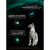 Влажные ветеринарный корм Pro Plan FELINE EN Gastrointestinal  Лосось 85г