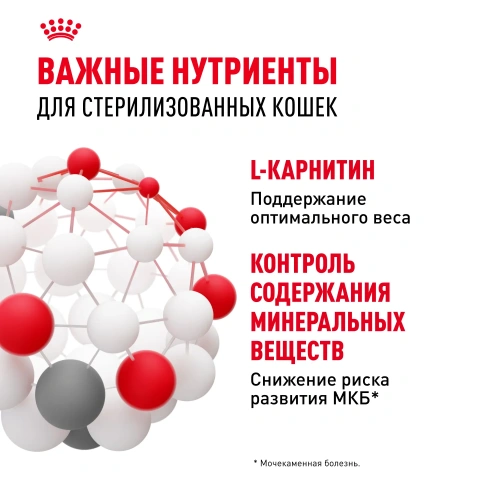 Влажный корм Royal Canin Sterilised для стерилизованных кошек, кусочки в желе (28 паучей по 85 гр)