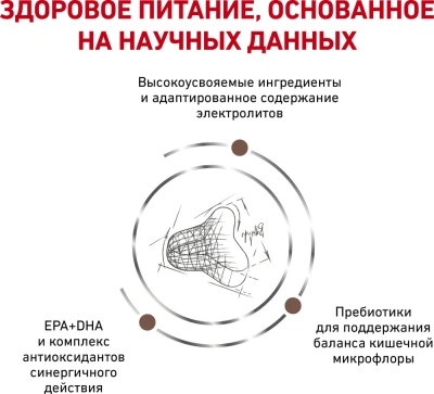 Royal Canin Gastrointestinal Fibre Response Сухой ветеринарный корм для кошек при запорах, 400 г