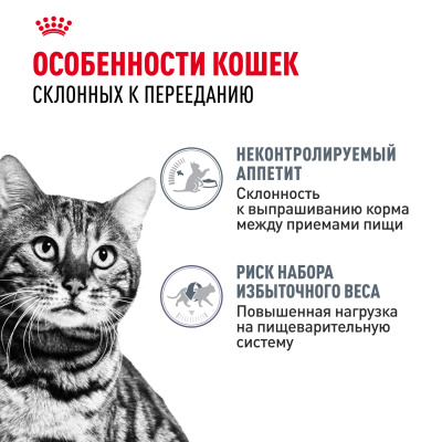 Влажный корм Royal Canin Appetite Control Care для кошек, контроль выпрашивания корма в желе, 85гр