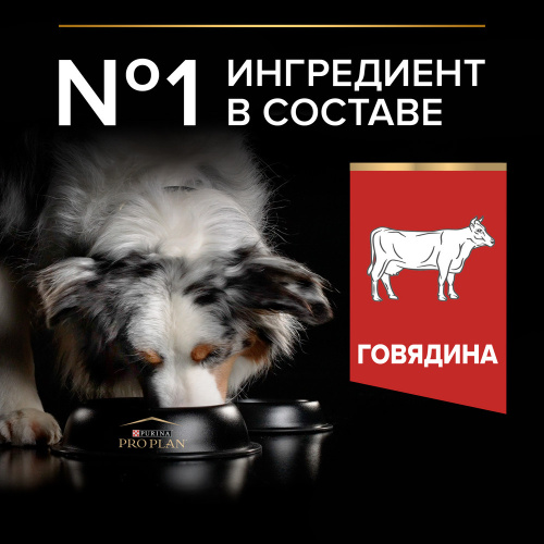Purina PRO PLAN Duo Delice Сухой корм для собак средних и крупных пород, с говядиной, 2,5 кг