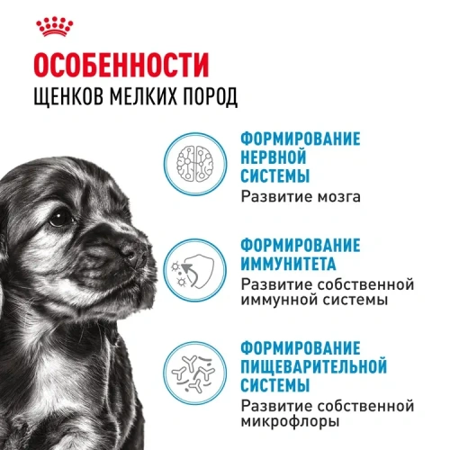Влажный корм Royal Canin для щенков минипород в соусе 85 г.