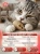 Игрушка для кошек Pet Star, мышка - сизаль с пером, красная, 1шт