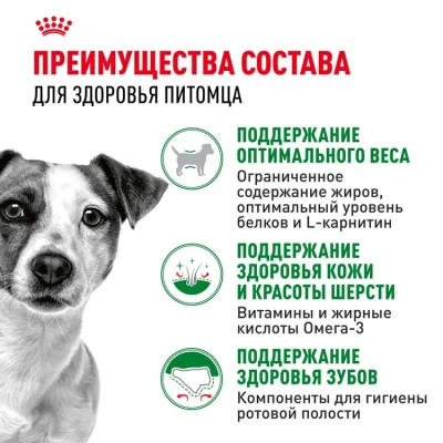 Royal Canin MINI Adult Корм сухой для взрослых собак мелких пород, 800 г