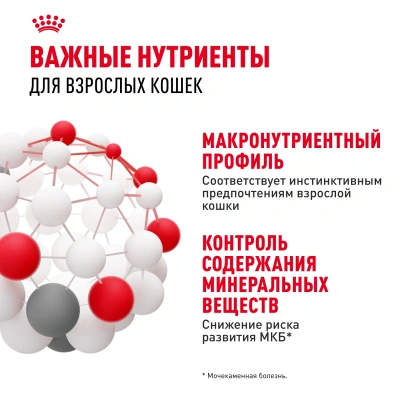 Влажный корм Royal Canin Instinctive для кошек, кусочки в желе (28 паучей по 85 гр)