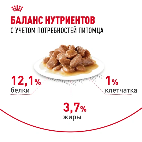 Royal Canin Intense Beauty Care Консервированный корм для кошек - красивая шерсть, соус, 85 г