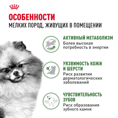 Сухой корм Royal Canin Indoor Life Adult для собак живущий в помещении 0,5 кг